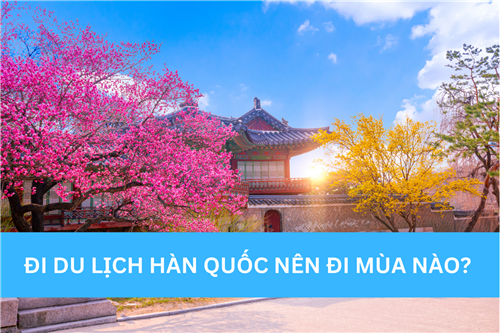 ĐI DU LỊCH HÀN QUỐC NÊN ĐI MÙA NÀO? CẨM NANG CHI TIẾT CHO CHUYẾN ĐI TRỌN VẸN